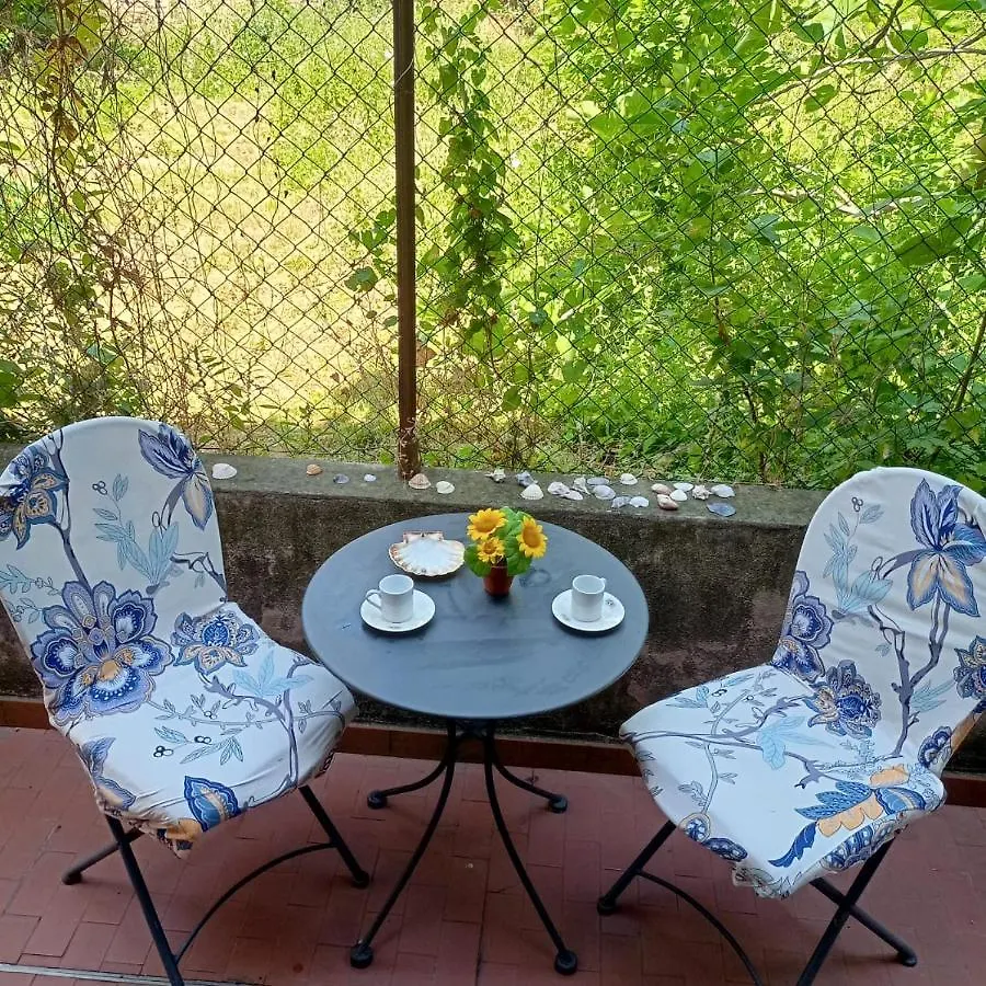 Apartamento Beatiful Modern Flat Venice Centre With Private Lounge Green Area Relax Italia
